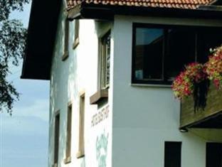Hotel- Landgasthof Baumhof-Tenne マルクトハイデンフェルト エクステリア 写真